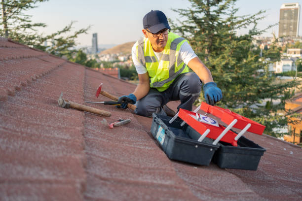 Best Insulated Siding Installation  in Shenandoah, LA